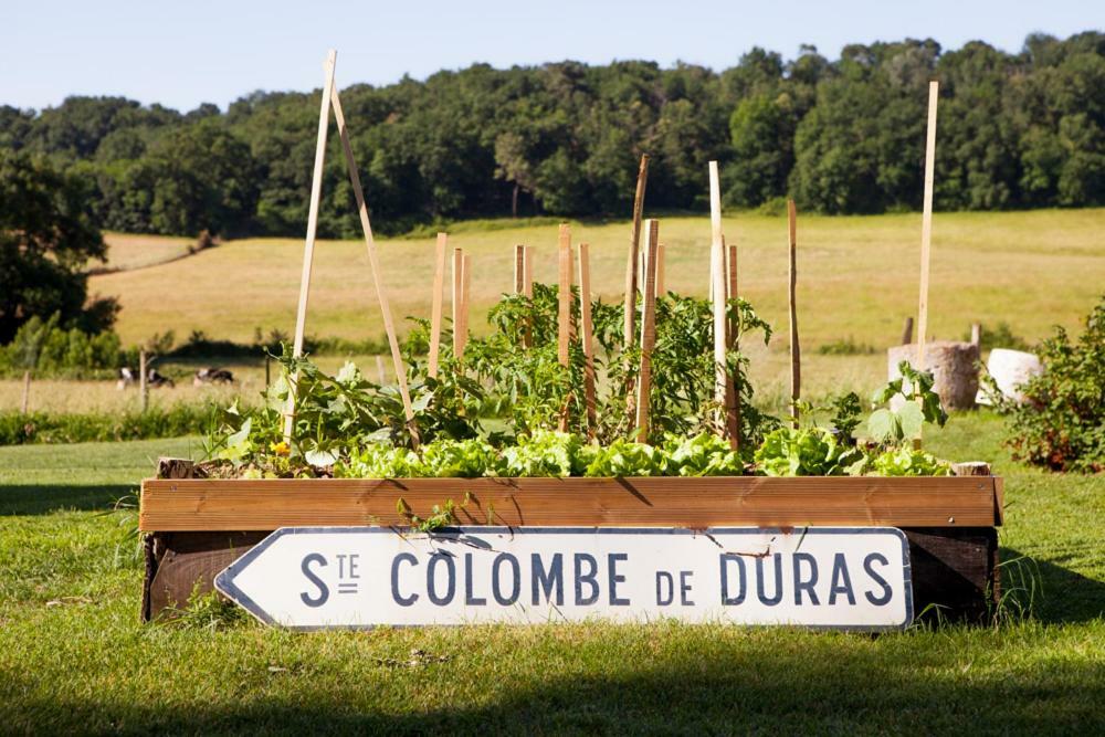 Le Vallon De Guerry Sainte-Colombe-de-Duras Eksteriør billede